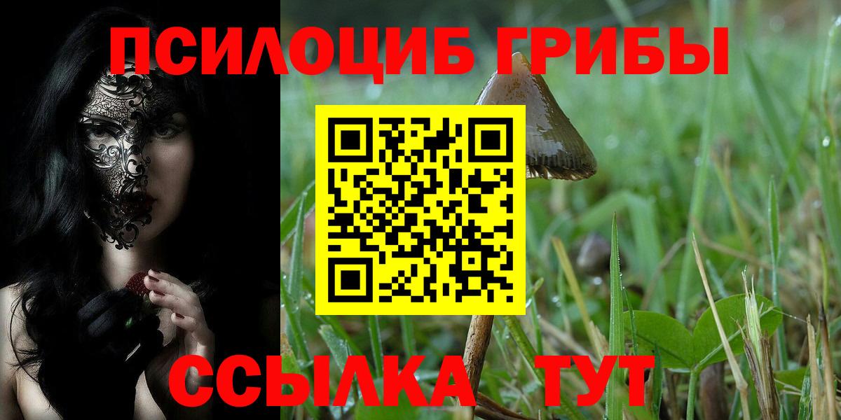 Галлюциногенные грибы мицелий  где купить наркотик  Батайск 