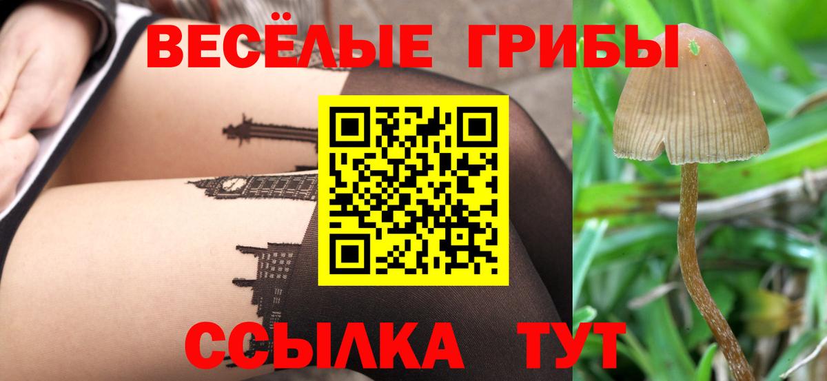 Псилоцибиновые грибы Psilocybe  Вход с VPN  Батайск 